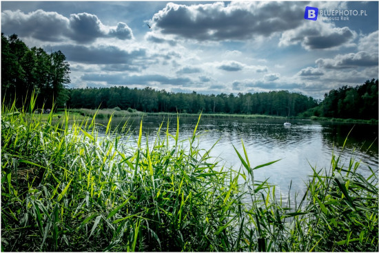 O2W trasa kukla-mala wies2022____2V6A7544